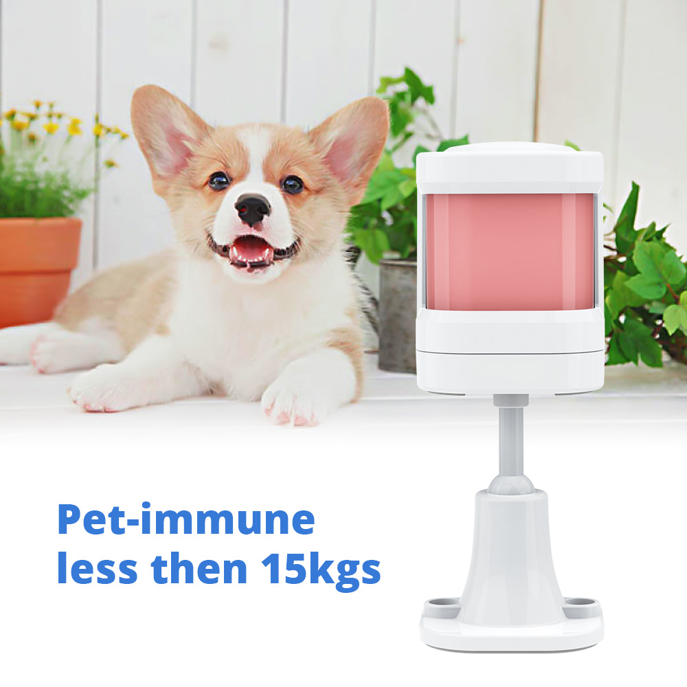 P20 anti-animal de estimação p - Sim Gsm Alarm avaliação e preço